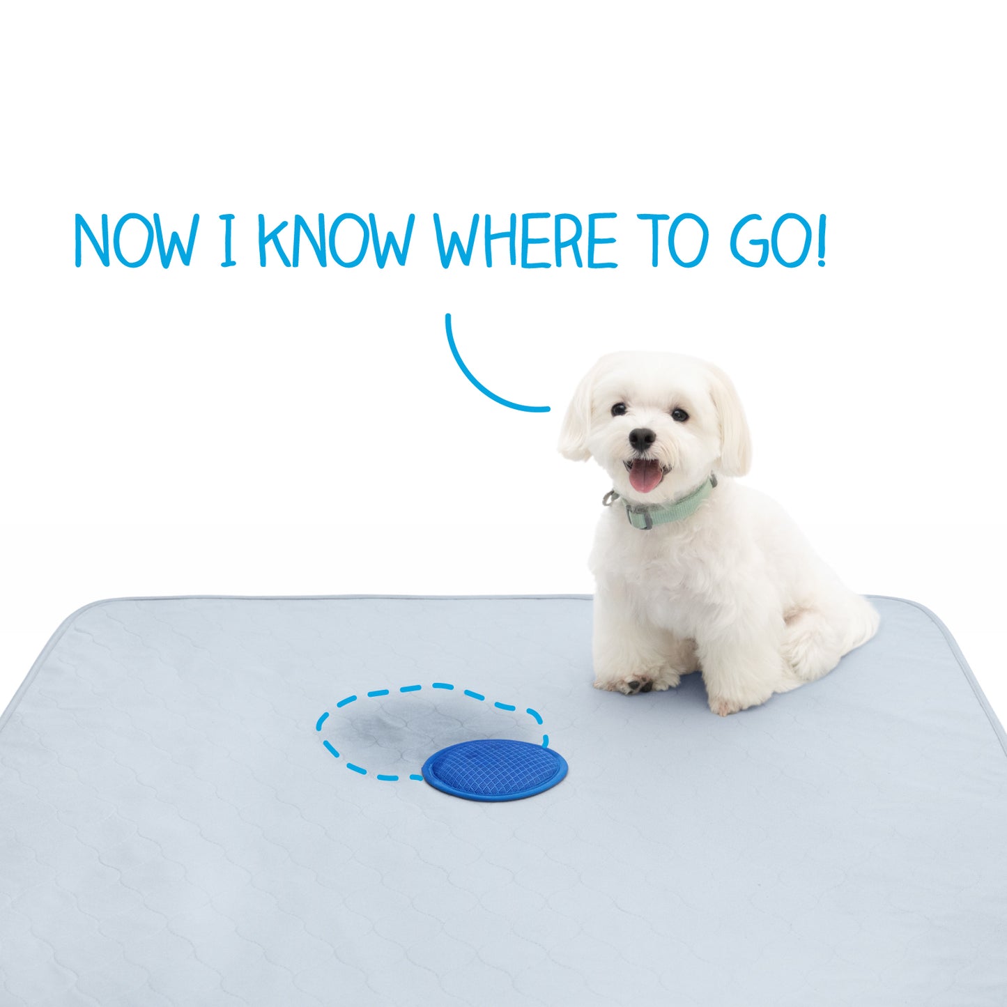 Speed Spot™ Training Pads