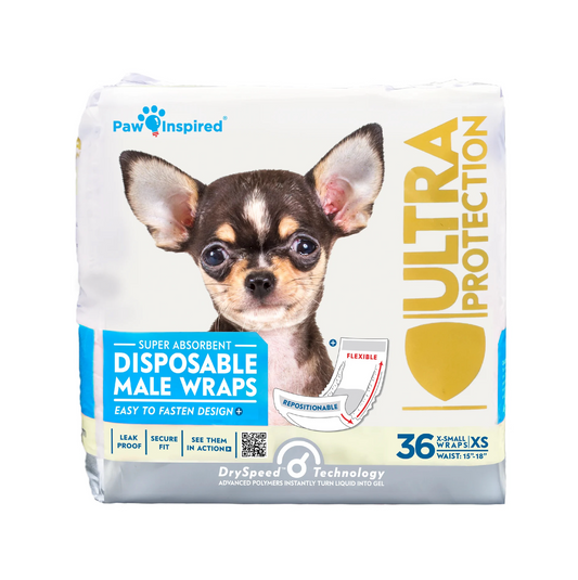 Paw Inspired disposable male dog wraps 36-count pack in XS size featuring Chihuahua on ultra protection packaging with leak-proof and DrySpeed Technology claims.