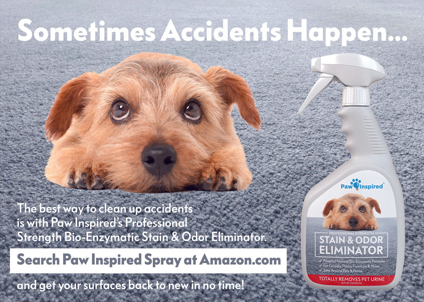 Cute dog lying on carpet with Paw Inspired Stain & Odor Eliminator spray bottle. Text reads "Sometimes Accidents Happen... Search Paw Inspired Spray at Amazon.com".