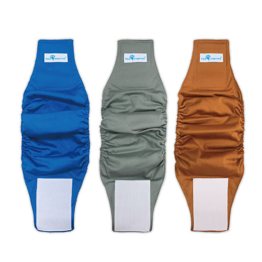 Paw Inspired reusable male dog wraps in blue, gray, and rust orange, designed for comfort, leak protection, and eco-friendly reusability.
