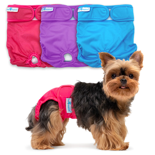 Small dog wearing red washable dog diaper – waterproof, reusable, and secured with strong hook-and-loop fasteners, designed for comfort and leak protection. Background shows additional color options: purple and blue.
