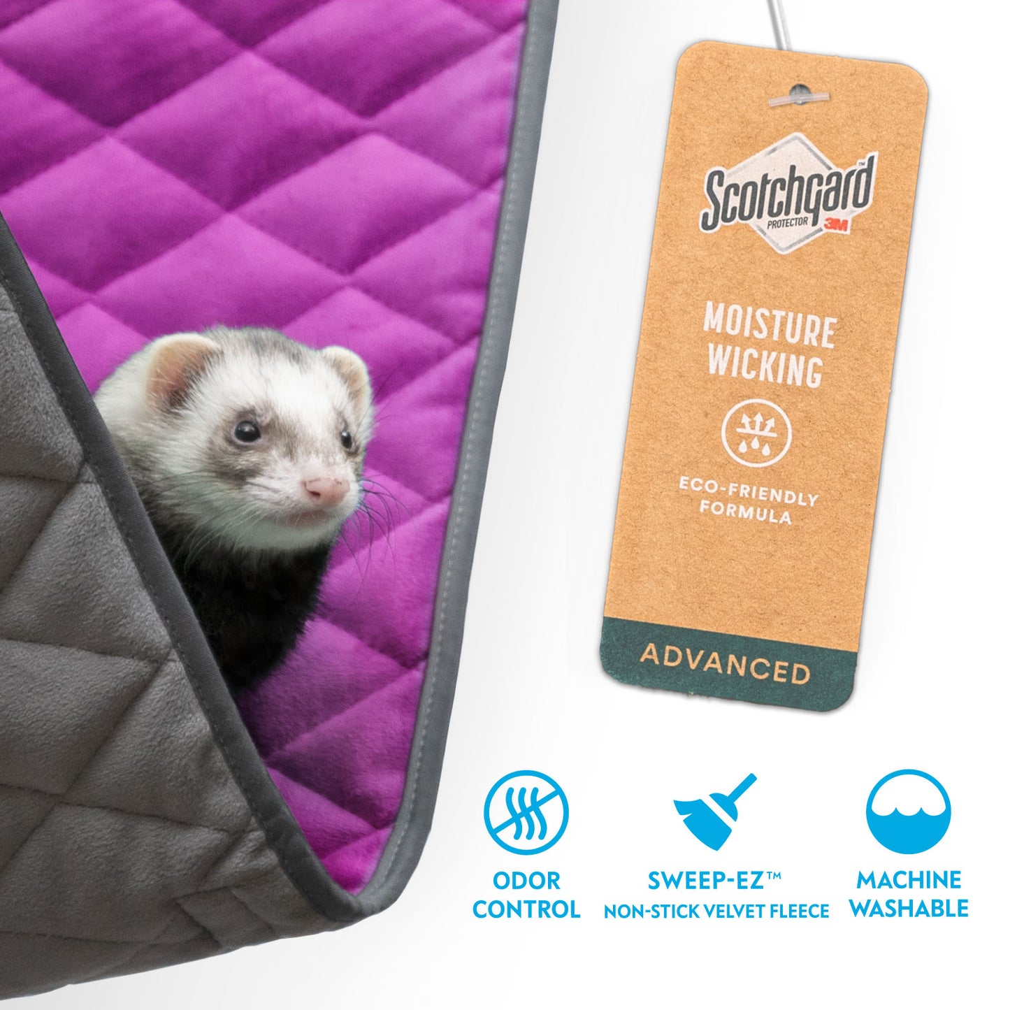 Hammock