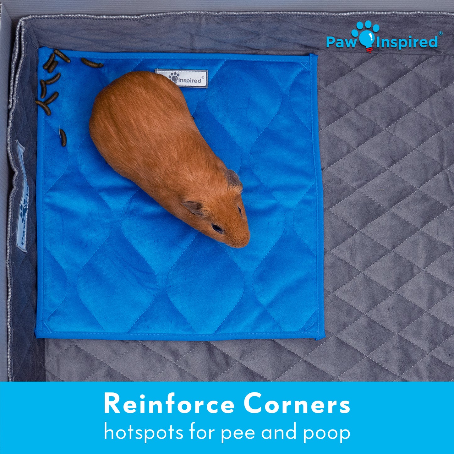 Washable 12”x12” Guinea Pig Cage Liner Pads (3 Count)