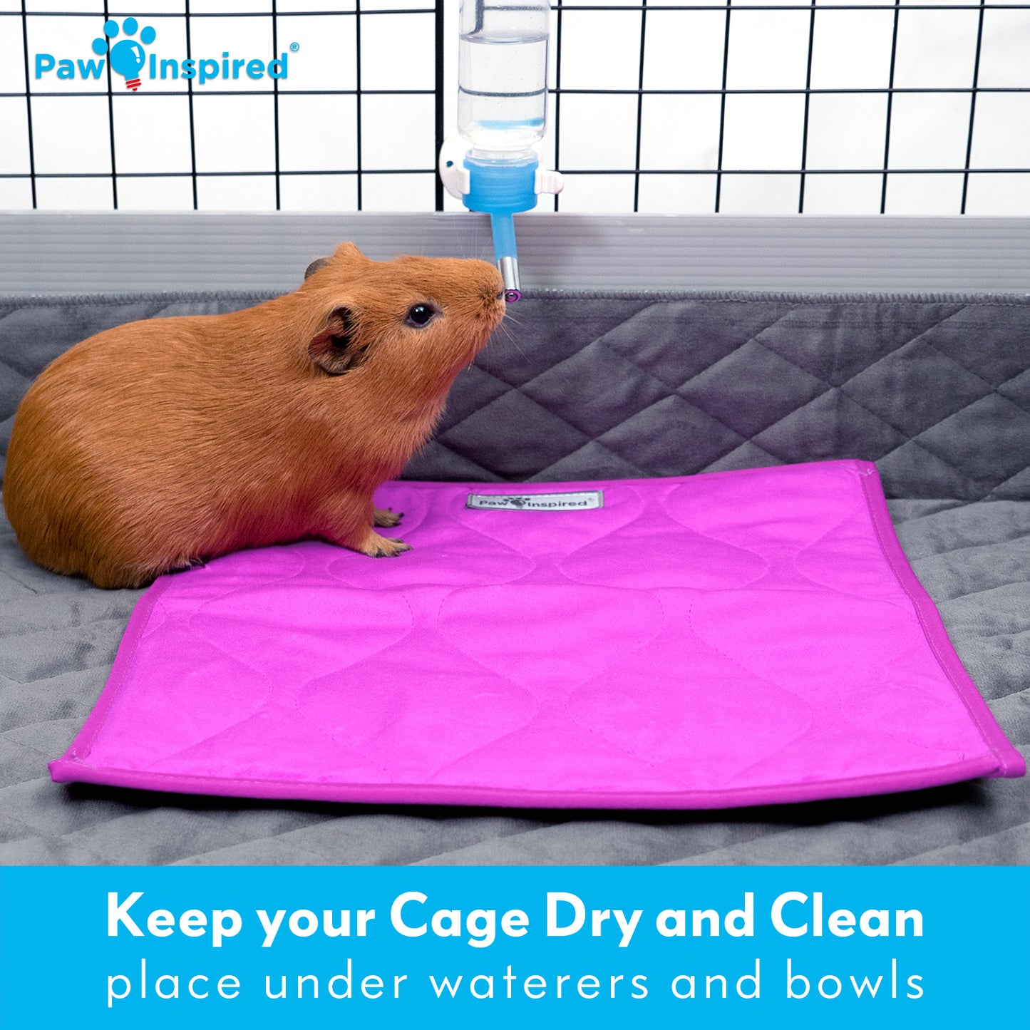 Washable 12”x12” Guinea Pig Cage Liner Pads (3 Count)