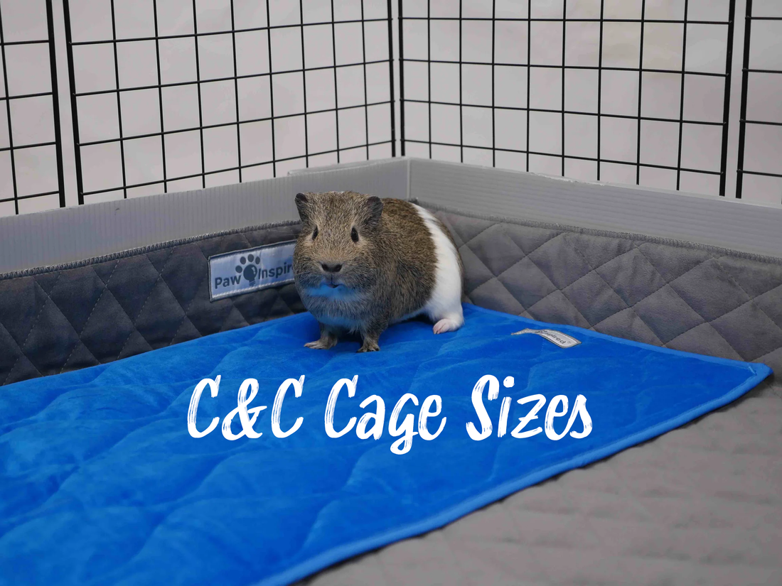 C&C Cage Sizes