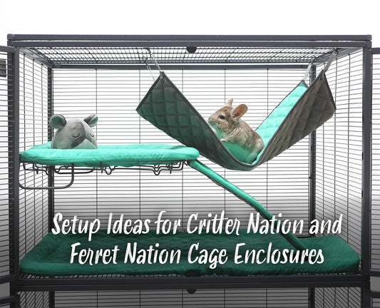 Setup Ideas for Critter Nation and Ferret Nation Cage Enclosures