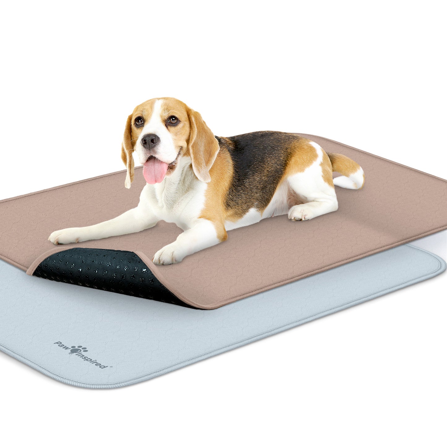 Washable Dog Pads