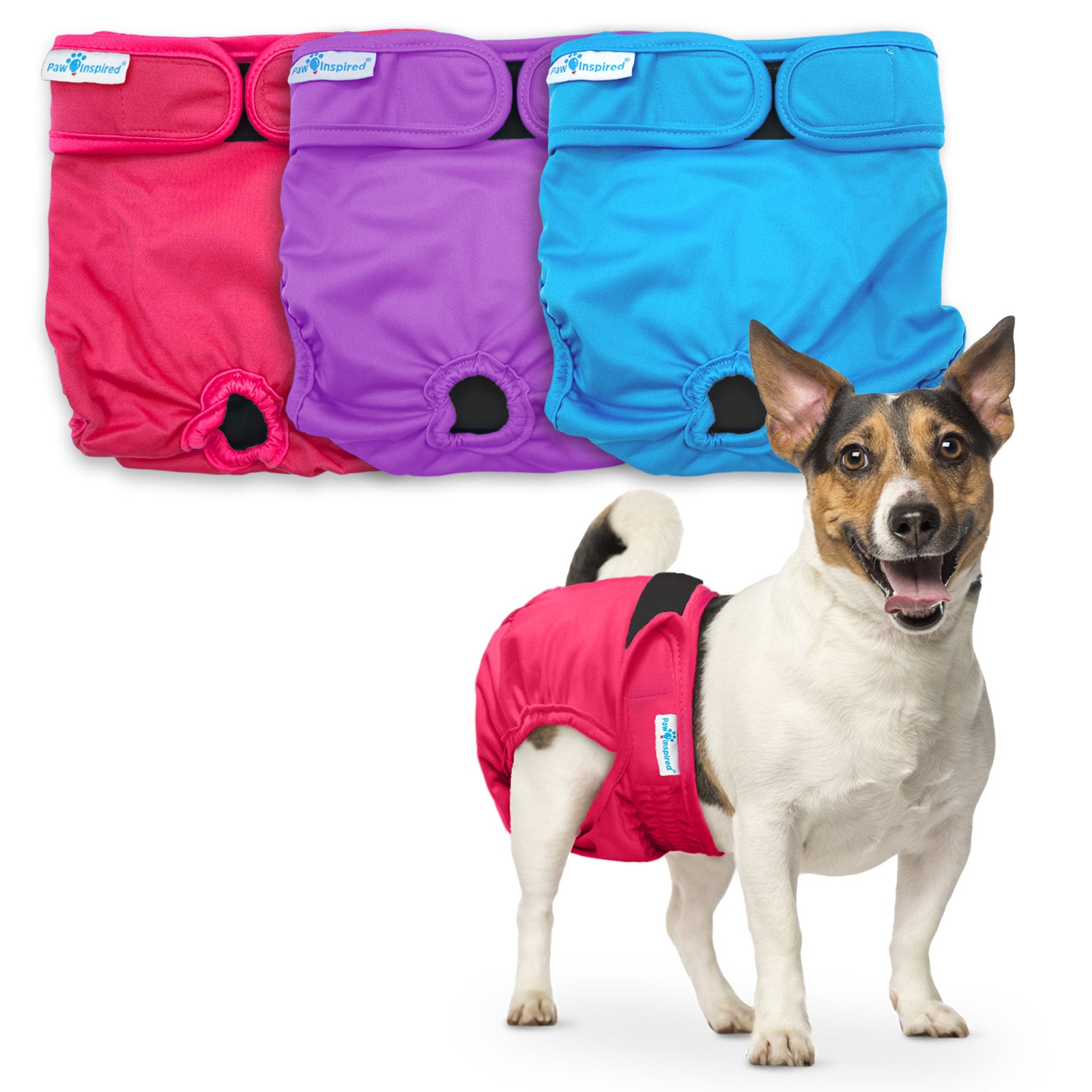 Small short-haired dog wearing a red dog diaper; background shows red, purple, and blue color options.