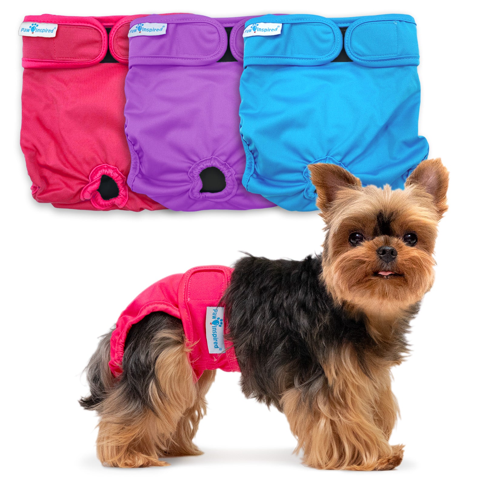 Small dog (Yorkshire Terrier) wearing a red dog diaper; red, purple, and blue diaper color options displayed in the background.