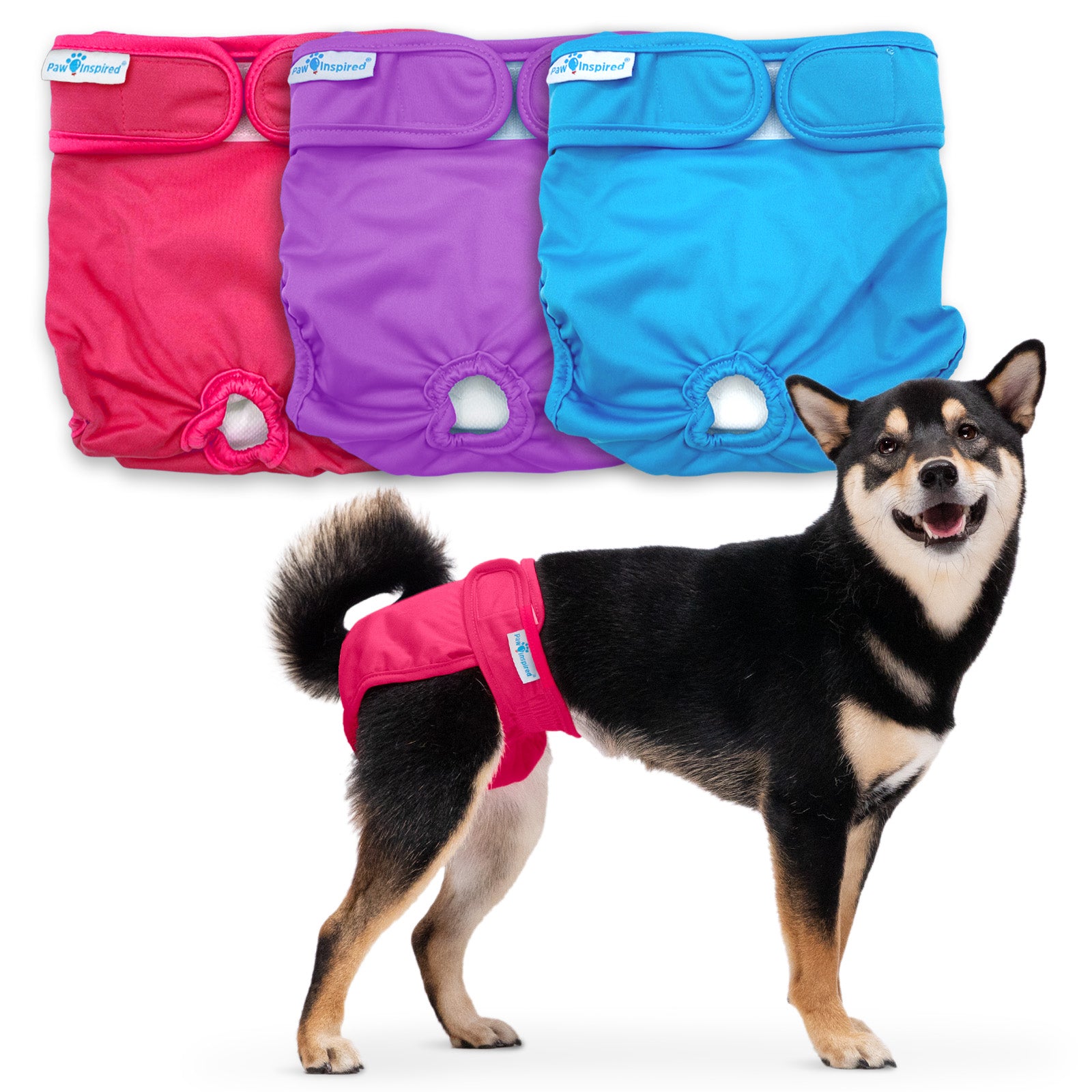 Shiba Inu wearing a red Paw Inspired medium dog diaper, with three folded diapers in red, purple, and blue displayed above.