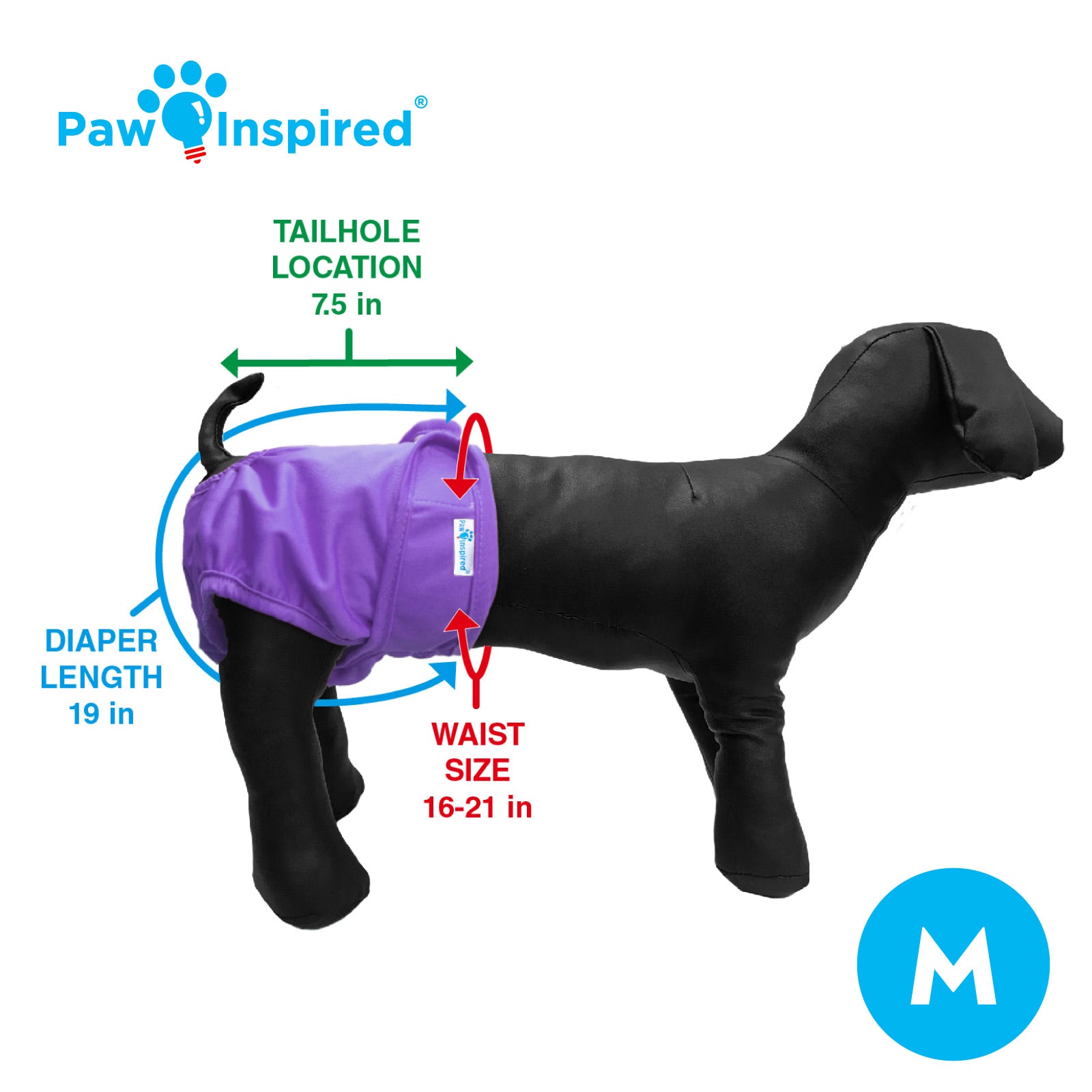 Medium size dog diaper on a black mannequin with labeled dimensions: 19 in diaper length, 7.5 in tail hole location, and 16–21 in waist size.