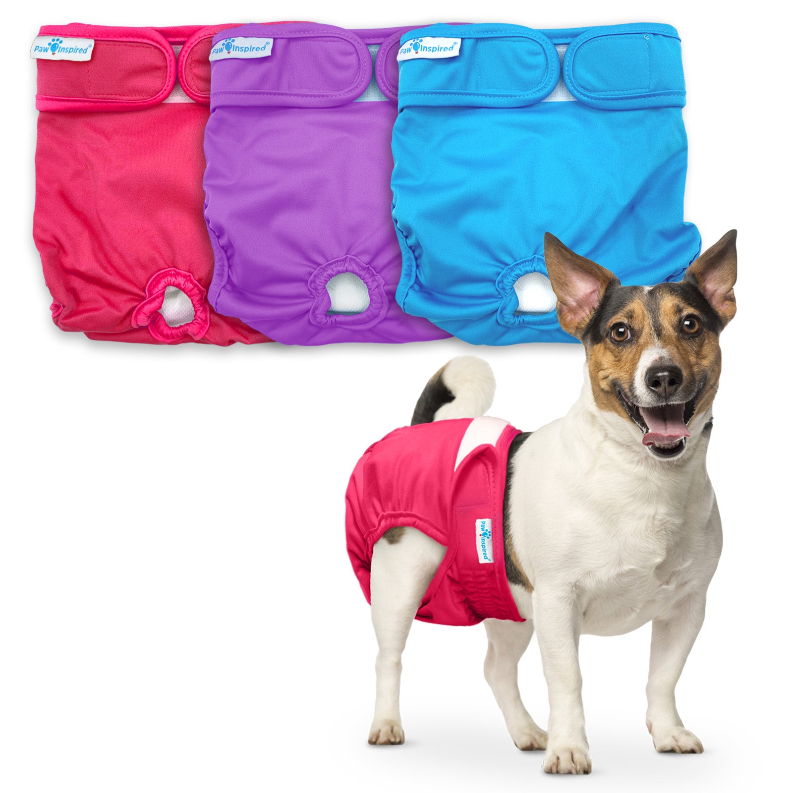 Terrier in red diaper posing in front of three folded Paw Inspired washable diapers – red, purple, and blue colors displayed.