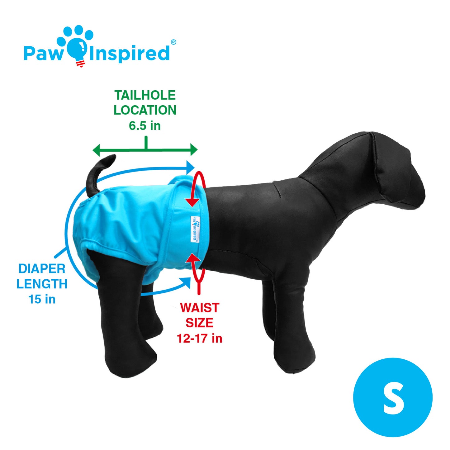 Small-size dog mannequin with blue Paw Inspired washable dog diaper – labeled dimensions including tail hole location, waist size, and diaper length.