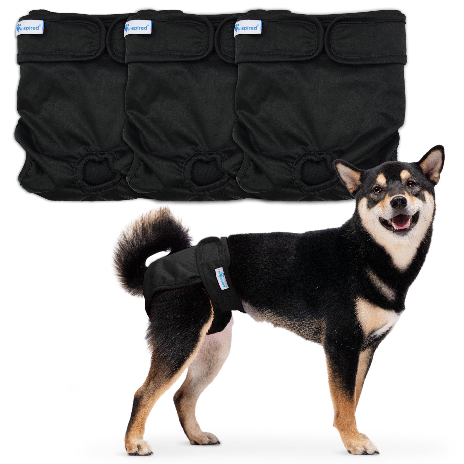 Black and tan Shiba Inu dog wearing a black washable dog diaper, with a 4-pack of diapers displayed above.
