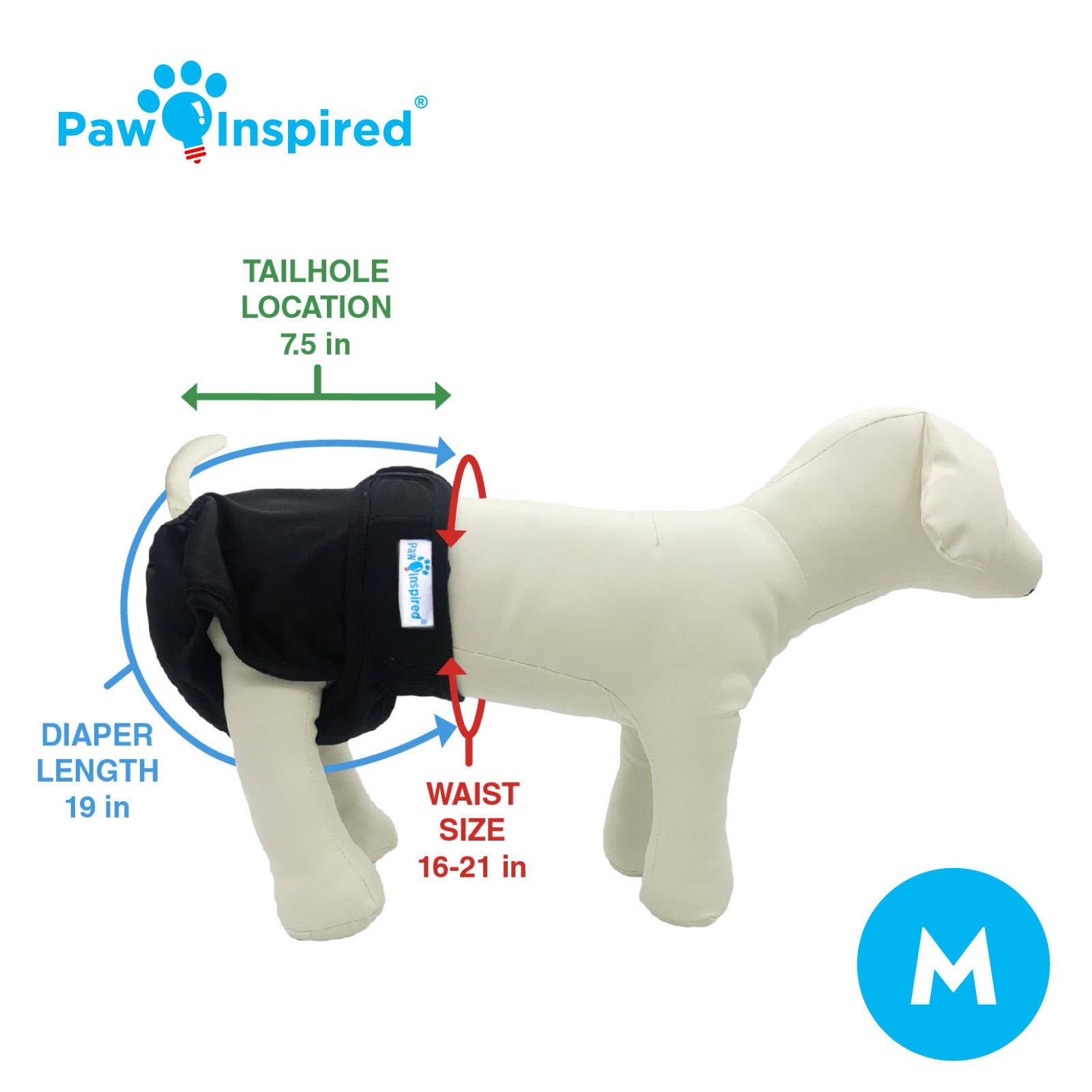 Medium-sized mannequin dog wearing a black washable dog diaper, showing tail hole position, waist and diaper length dimensions with measurement labels.