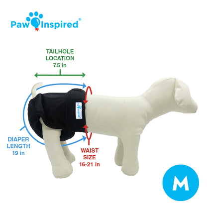Medium-sized mannequin dog wearing a black washable dog diaper, showing tail hole position, waist and diaper length dimensions with measurement labels.