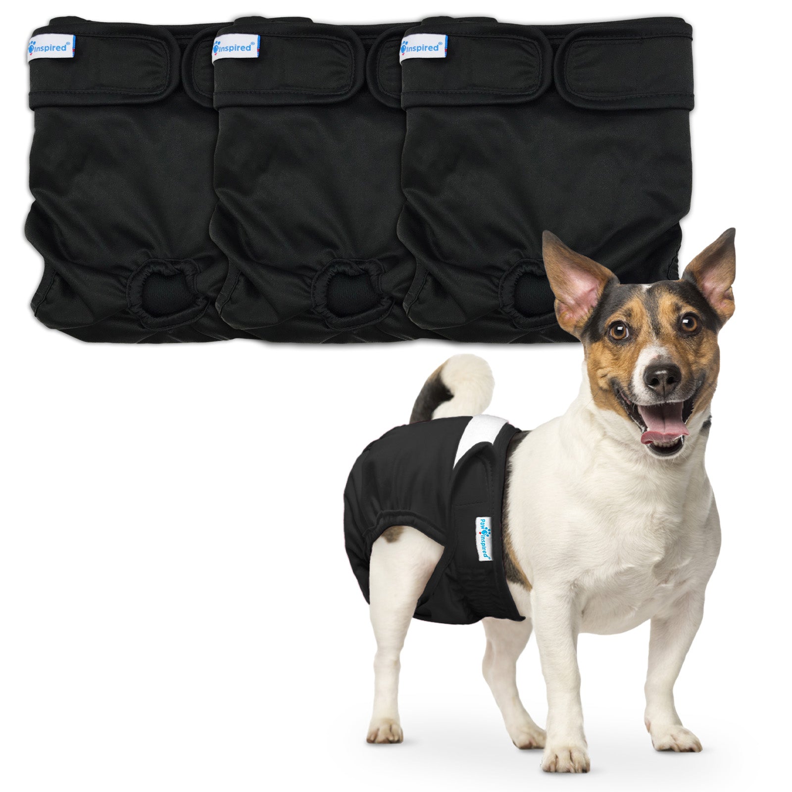 Small dog wearing a black washable dog diaper, with three black diapers displayed above.