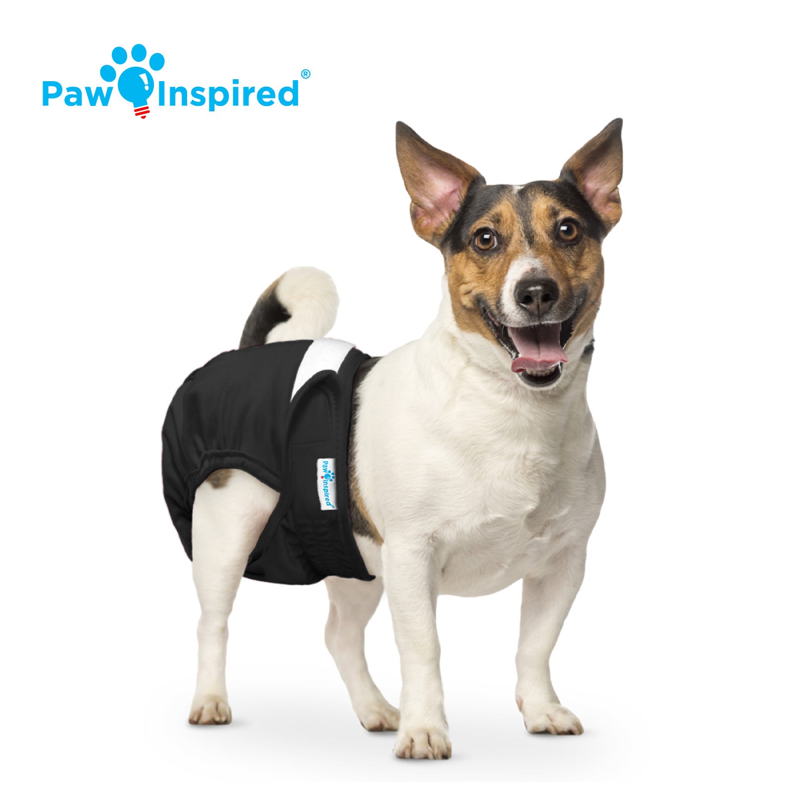 Size S dog mannequin wearing a black washable dog diaper, showing tail hole location (6.5 in), diaper length (15 in), and waist size (12–17 in).