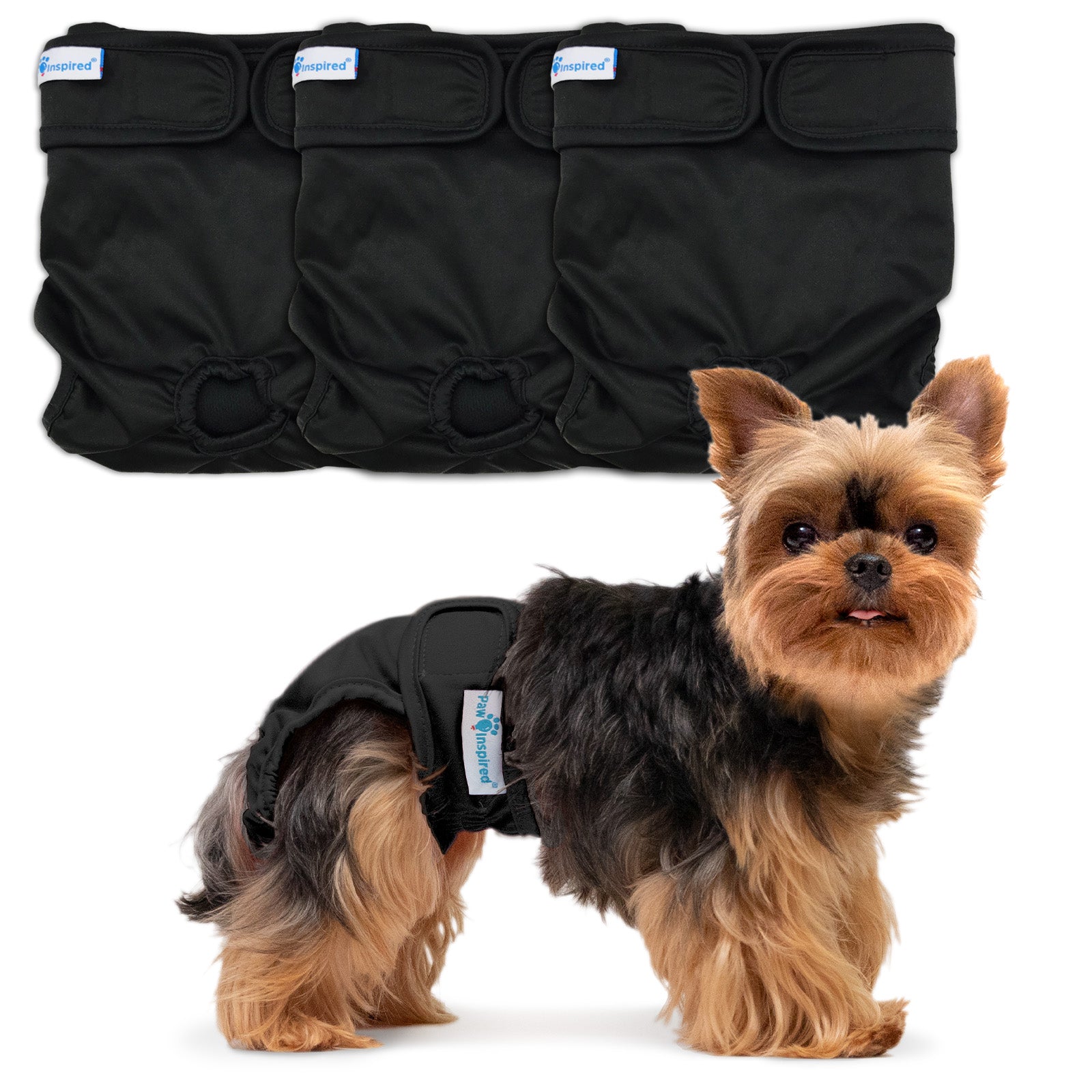 Yorkshire Terrier in black dog washable diaper, with three diapers displayed above.