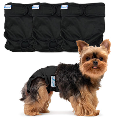 Yorkshire Terrier in black dog washable diaper, with three diapers displayed above.