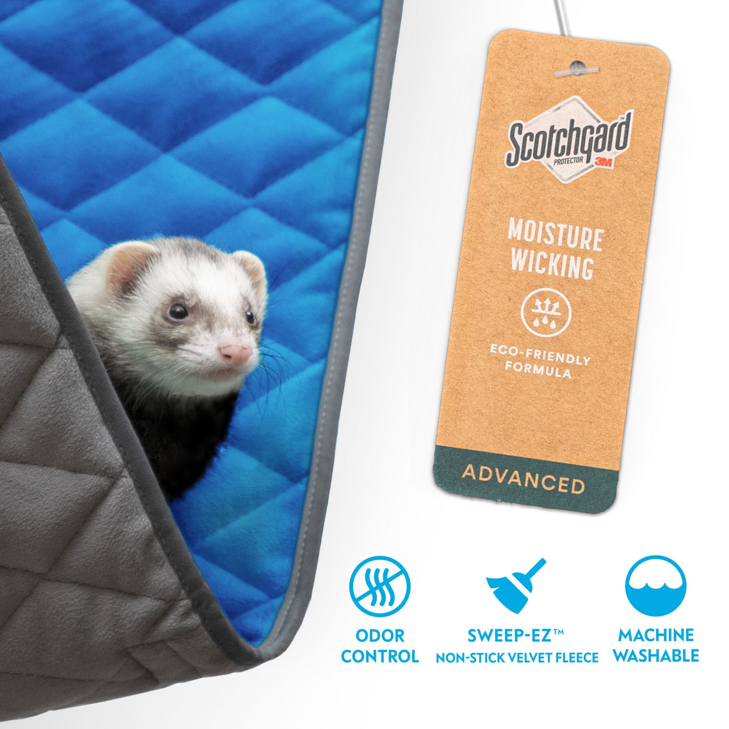 Hammock