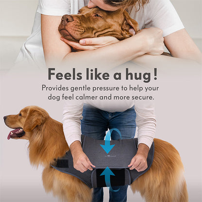Close-up of a dog feeling calm and relaxed while wearing the Anxiety Vest, emphasizing the soothing compression that reduces fear and stress.