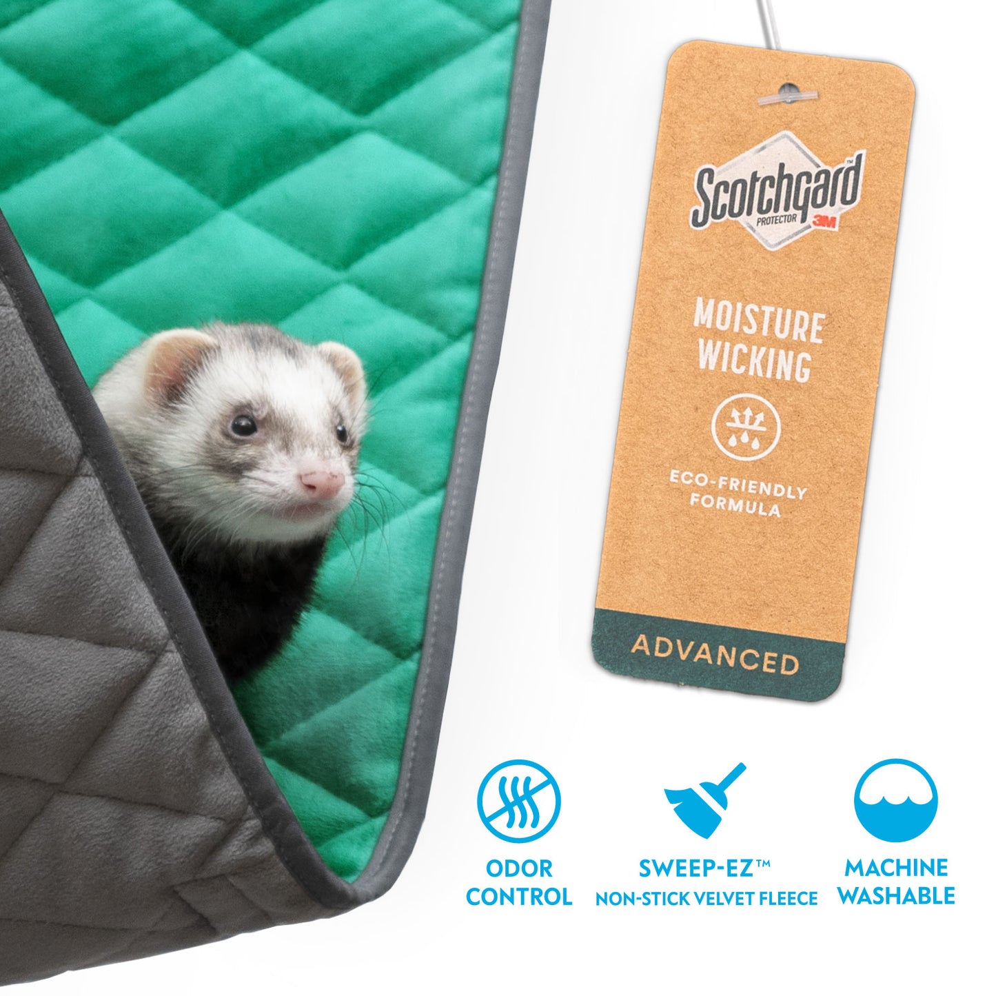 Hammock