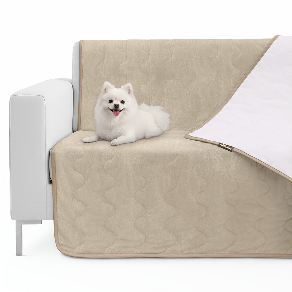 A small white dog sitting on a Gray Paw Inspired Anti-Slip Furniture Protector on a sofa. The corner of the quilted cover is flipped over to reveal the silicone dot non-slip backing designed to secure the protector on fabric and leather furniture.