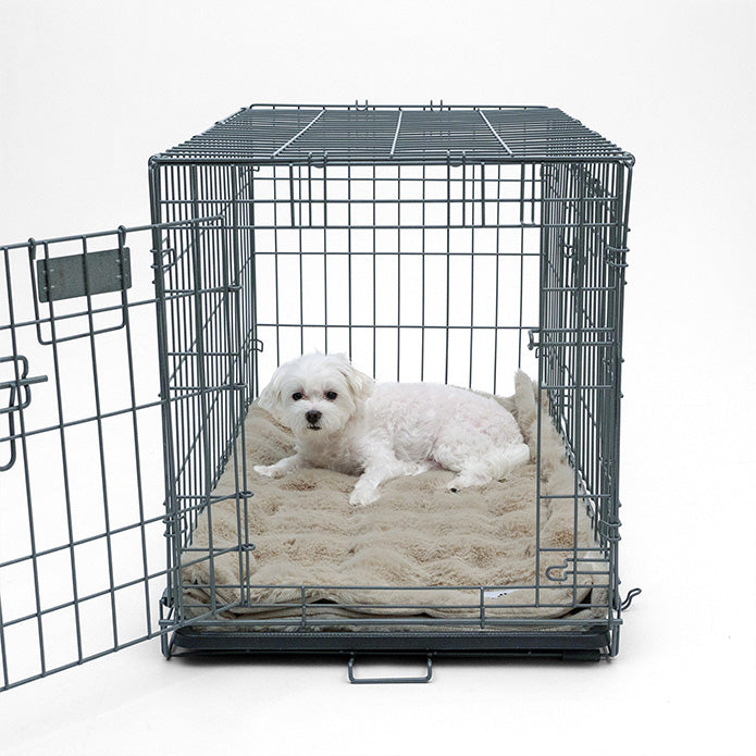 A small white dog resting on a Paw Inspired grey waterproof and anti-slip blanket used as a comfortable crate pad.