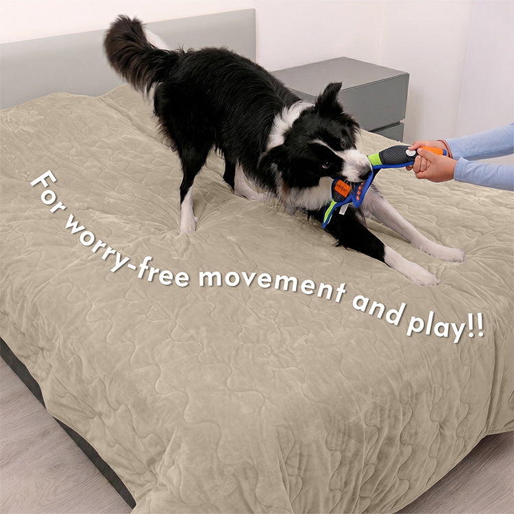 A Border Collie playing on a Gray Paw Inspired Anti-Slip Furniture Protector covering a bed. The image highlights the secure, non-slip grip that allows for worry-free movement and play on furniture.