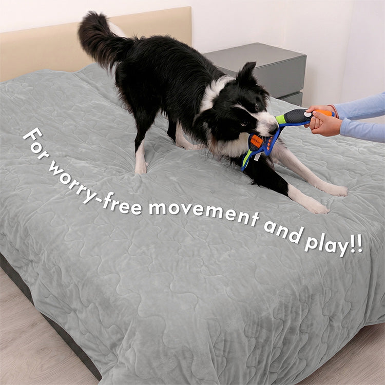 A Border Collie playing on a Gray Paw Inspired Anti-Slip Furniture Protector covering a bed. The image highlights the secure, non-slip grip that allows for worry-free movement and play on furniture.