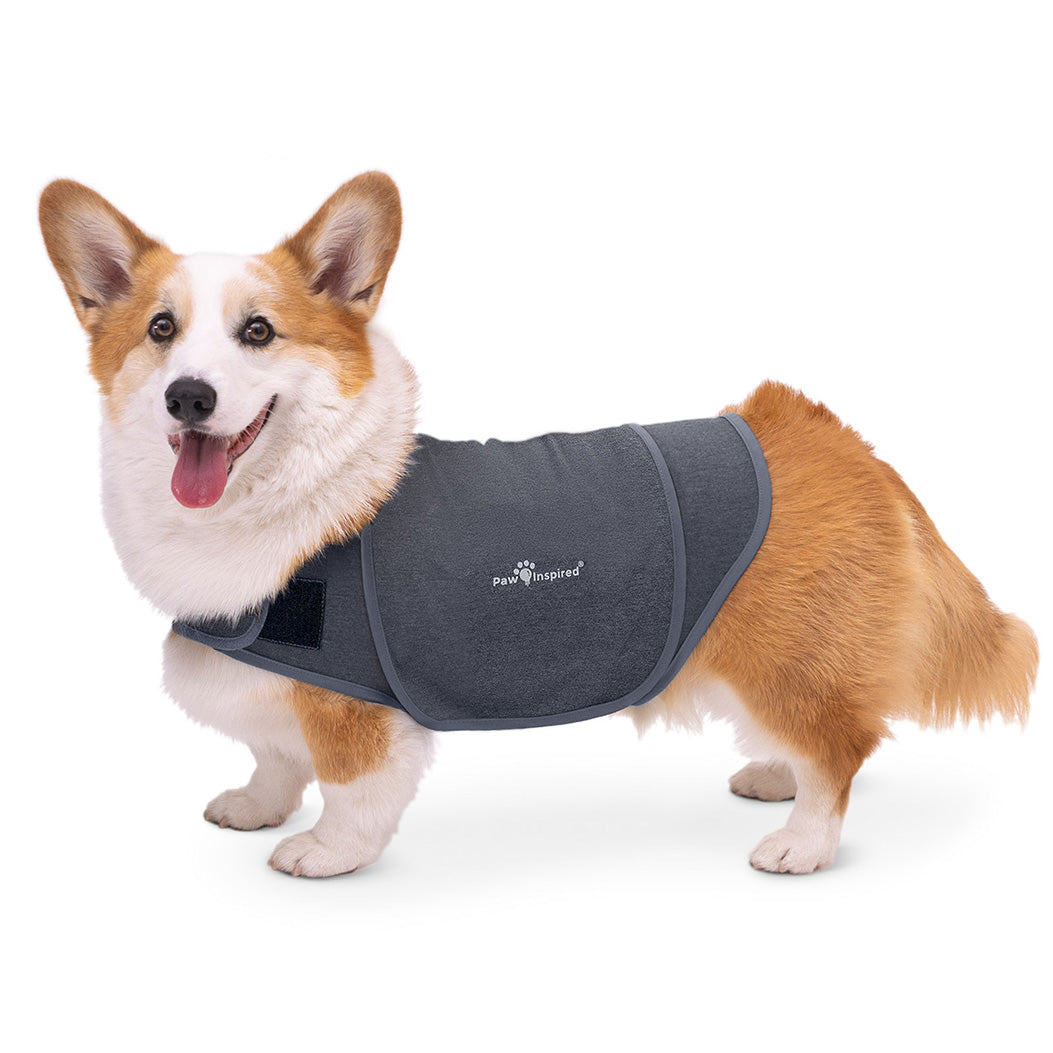 Paw Inspired Dog Anxiety Vest on a Corgi, a professional-grade calming wrap designed to relieve pet anxiety through gentle, constant pressure.