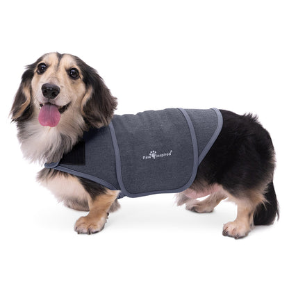 Paw Inspired Dog Anxiety Vest on a Dachshund, a professional-grade calming wrap designed to relieve pet anxiety through gentle, constant pressure.