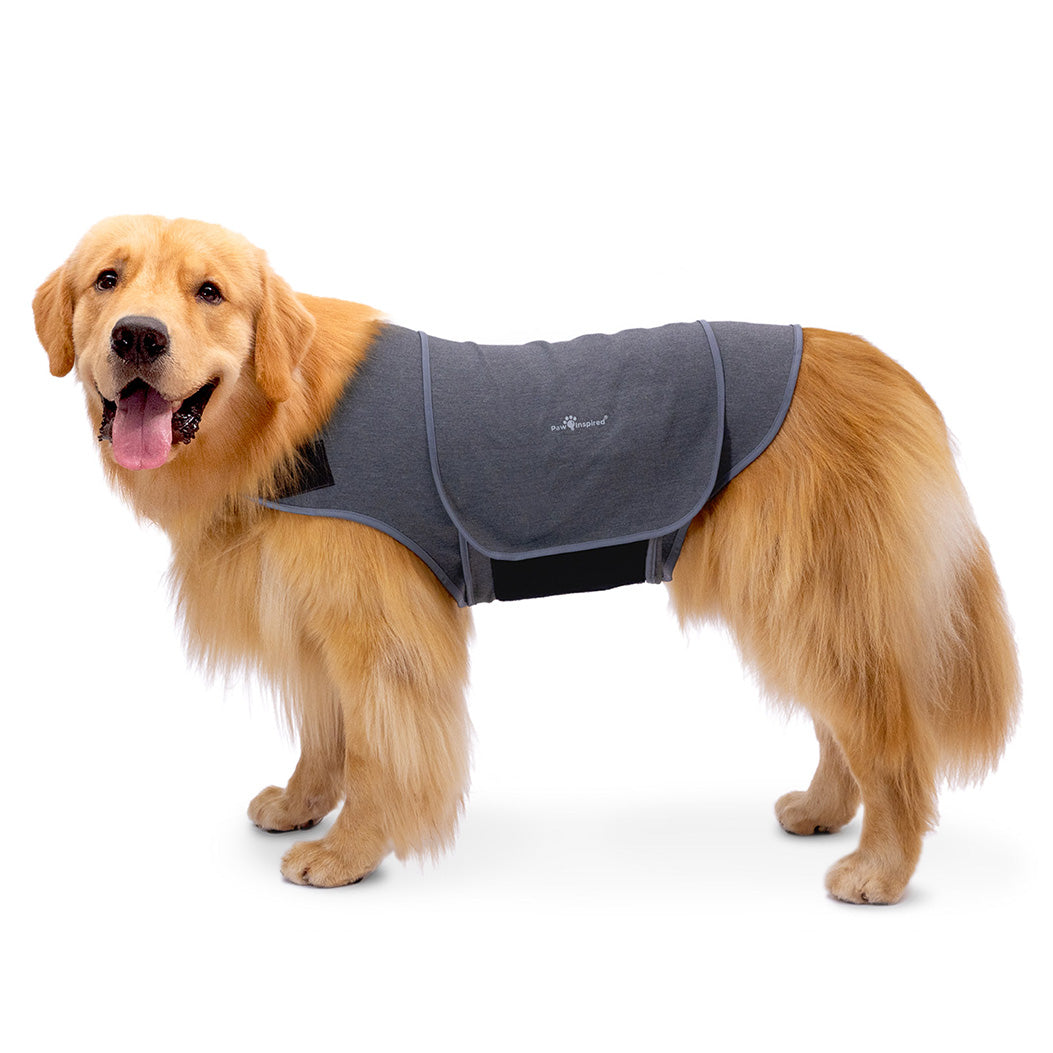 Paw Inspired Dog Anxiety Vest on a Golden Retriever, a professional-grade calming wrap designed to relieve pet anxiety through gentle, constant pressure.