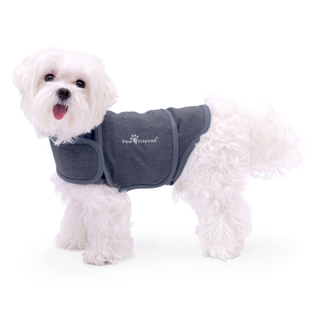Paw Inspired Dog Anxiety Vest on a Maltese, a professional-grade calming wrap designed to relieve pet anxiety through gentle, constant pressure. 
