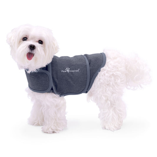 Paw Inspired Dog Anxiety Vest on a Maltese, a professional-grade calming wrap designed to relieve pet anxiety through gentle, constant pressure. 