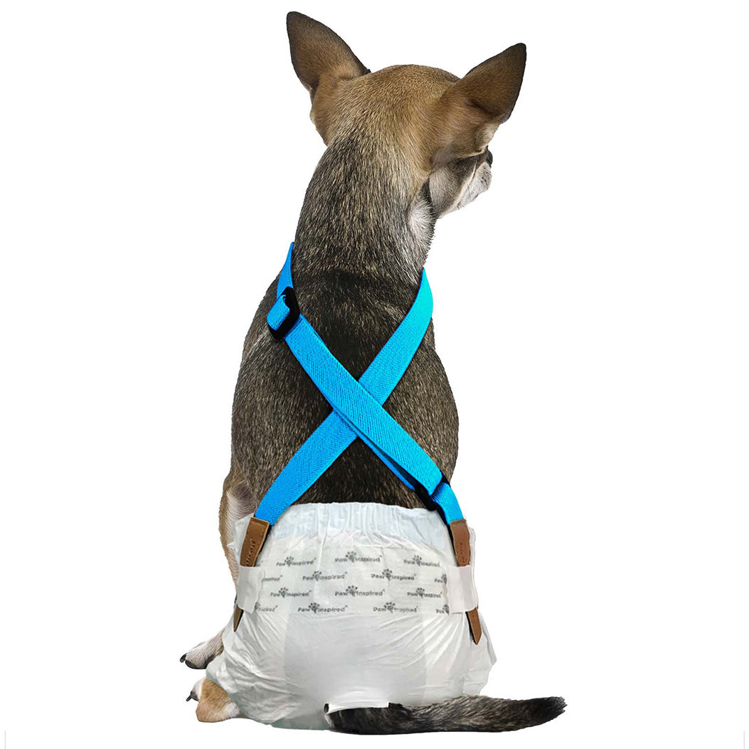 Paw Inspired Blue Dog Diaper Suspenders with adjustable straps to keep dog diapers and male wraps from sliding off.