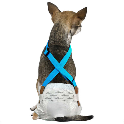 Paw Inspired Blue Dog Diaper Suspenders with adjustable straps to keep dog diapers and male wraps from sliding off.