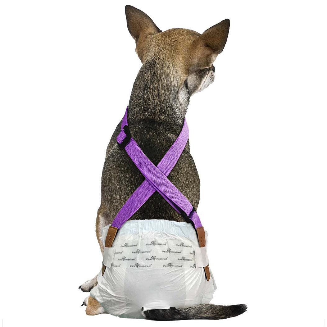 Paw Inspired Purple Dog Diaper Suspenders, a comfortable and adjustable solution to prevent pet diapers from falling off.