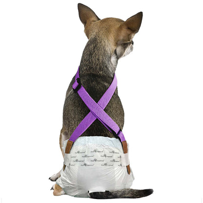 Paw Inspired Purple Dog Diaper Suspenders, a comfortable and adjustable solution to prevent pet diapers from falling off.