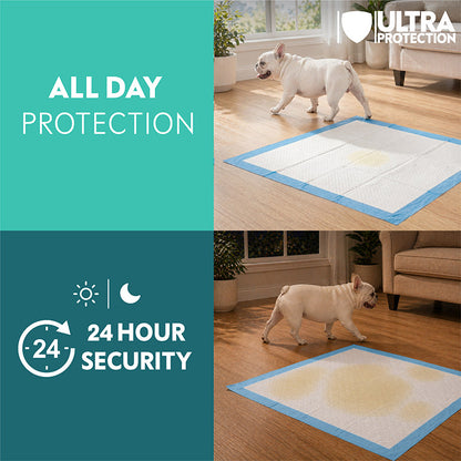 A day and night comparison demonstration of the Paw Inspired Dog Pads, highlighting "All Day Protection" and "24 Hour Security." The images show a French Bulldog walking near the pad, which successfully absorbs and contains multiple urinations throughout the day without leaking
