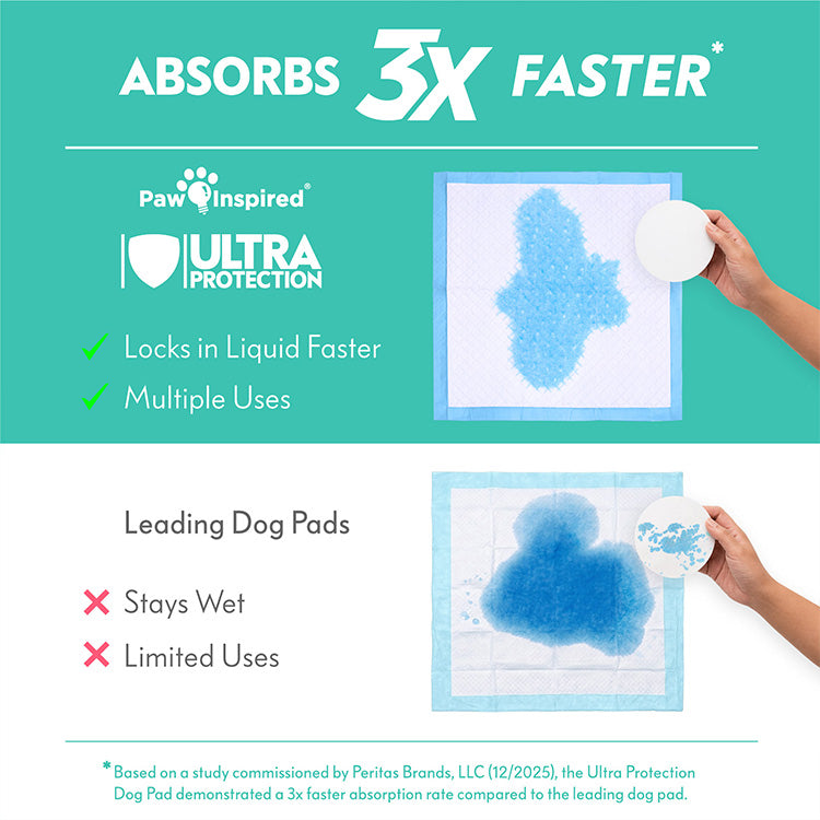 Demonstration of Paw Inspired Dog Pads with DrySpeed Technology that instantly converts urine into gel to keep paws dry and prevent tracking