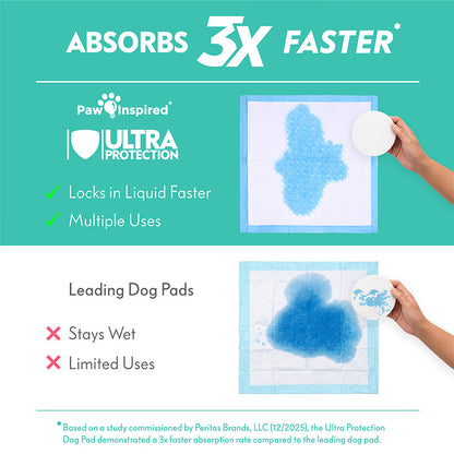 Demonstration of Paw Inspired Dog Pads with DrySpeed Technology that instantly converts urine into gel to keep paws dry and prevent tracking