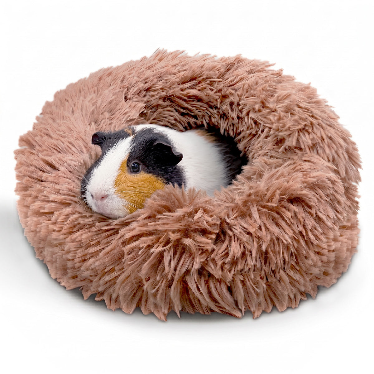 A cute calico guinea pig burrowed comfortably inside a tan Paw Inspired Furr-O plush pet bed.