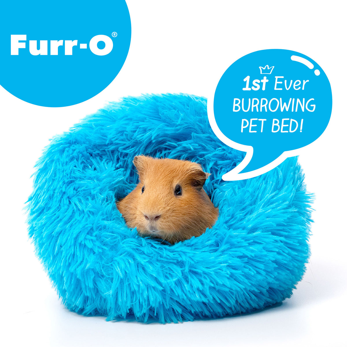 A cute brown guinea pig burrowing comfortably inside a vibrant blue Paw Inspired Furr-O plush small animal pet bed.