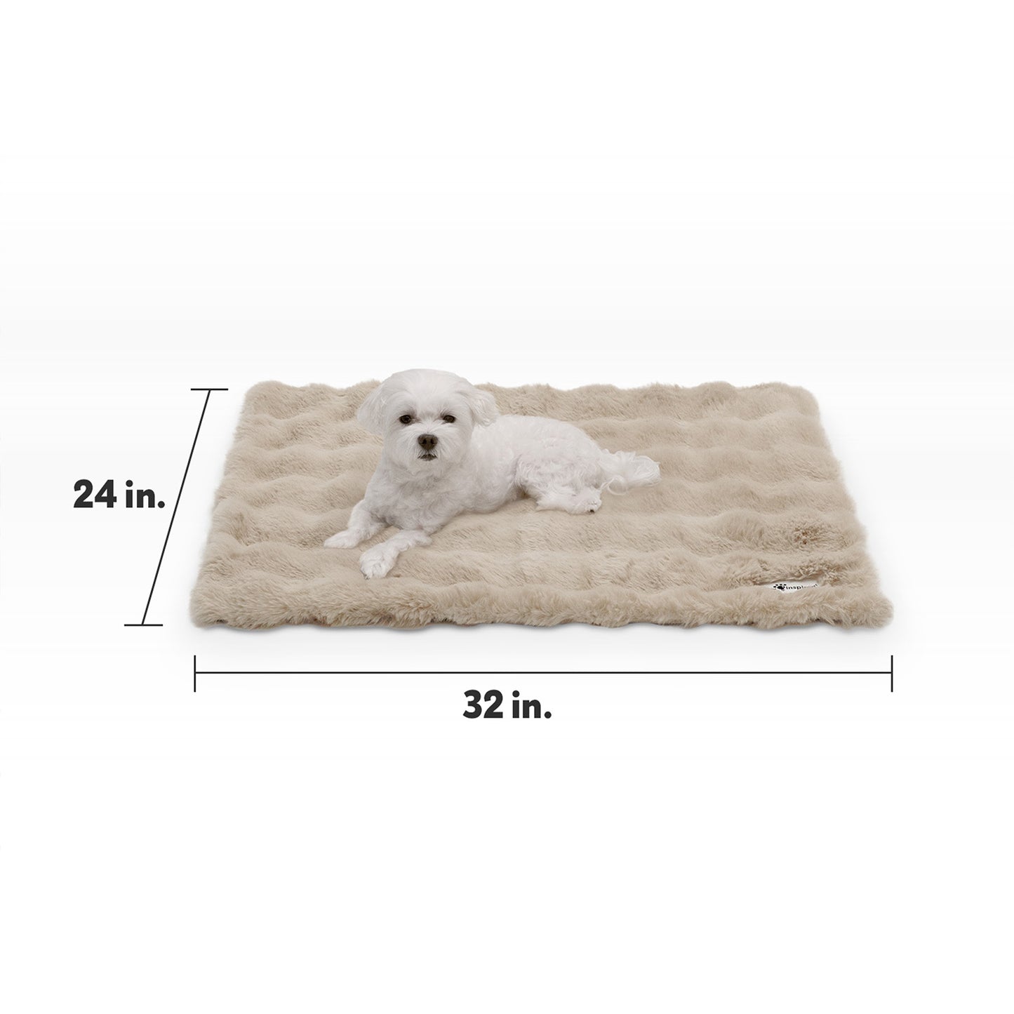 Size guide for Paw Inspired Waterproof Pet Blanket measuring 32 inches by 24 inches with a small white dog for scale.
