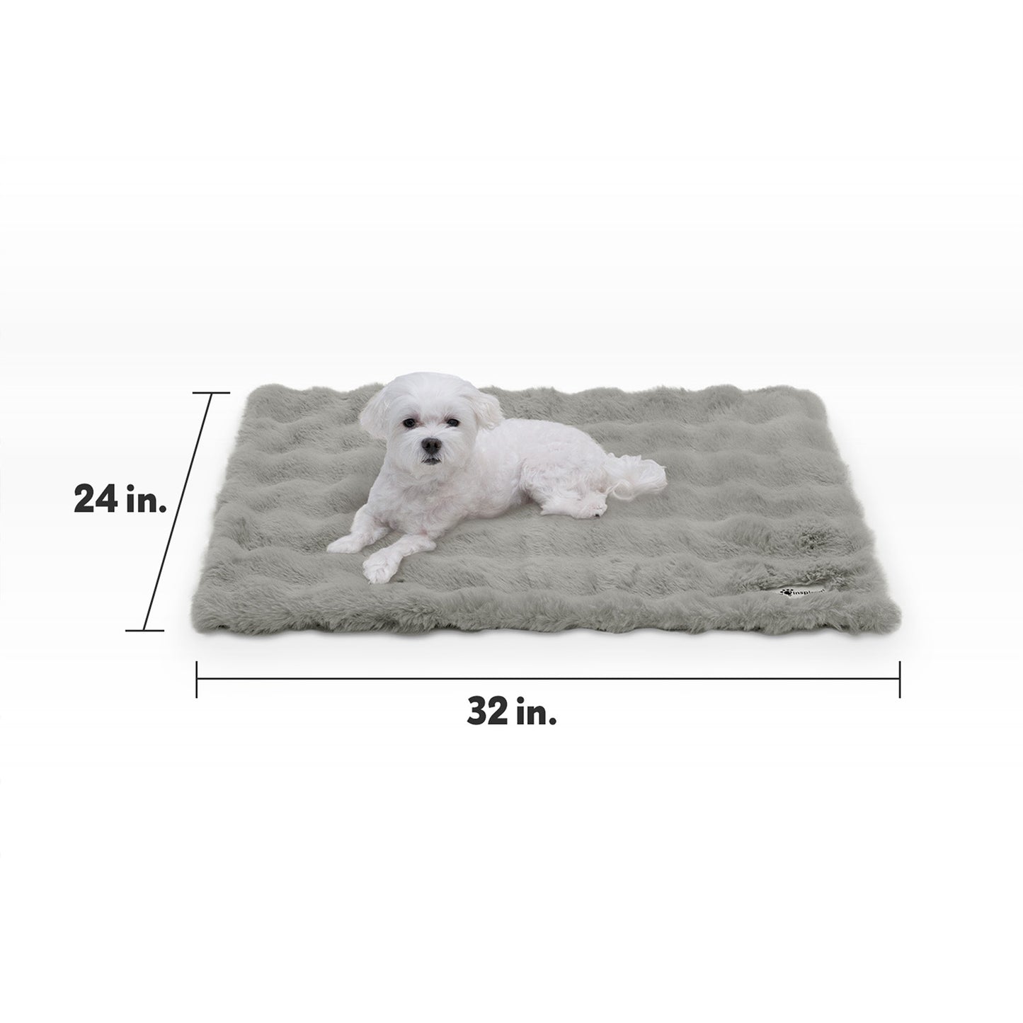Size guide for Paw Inspired Waterproof Pet Blanket measuring 32 inches by 24 inches with a small white dog for scale.
