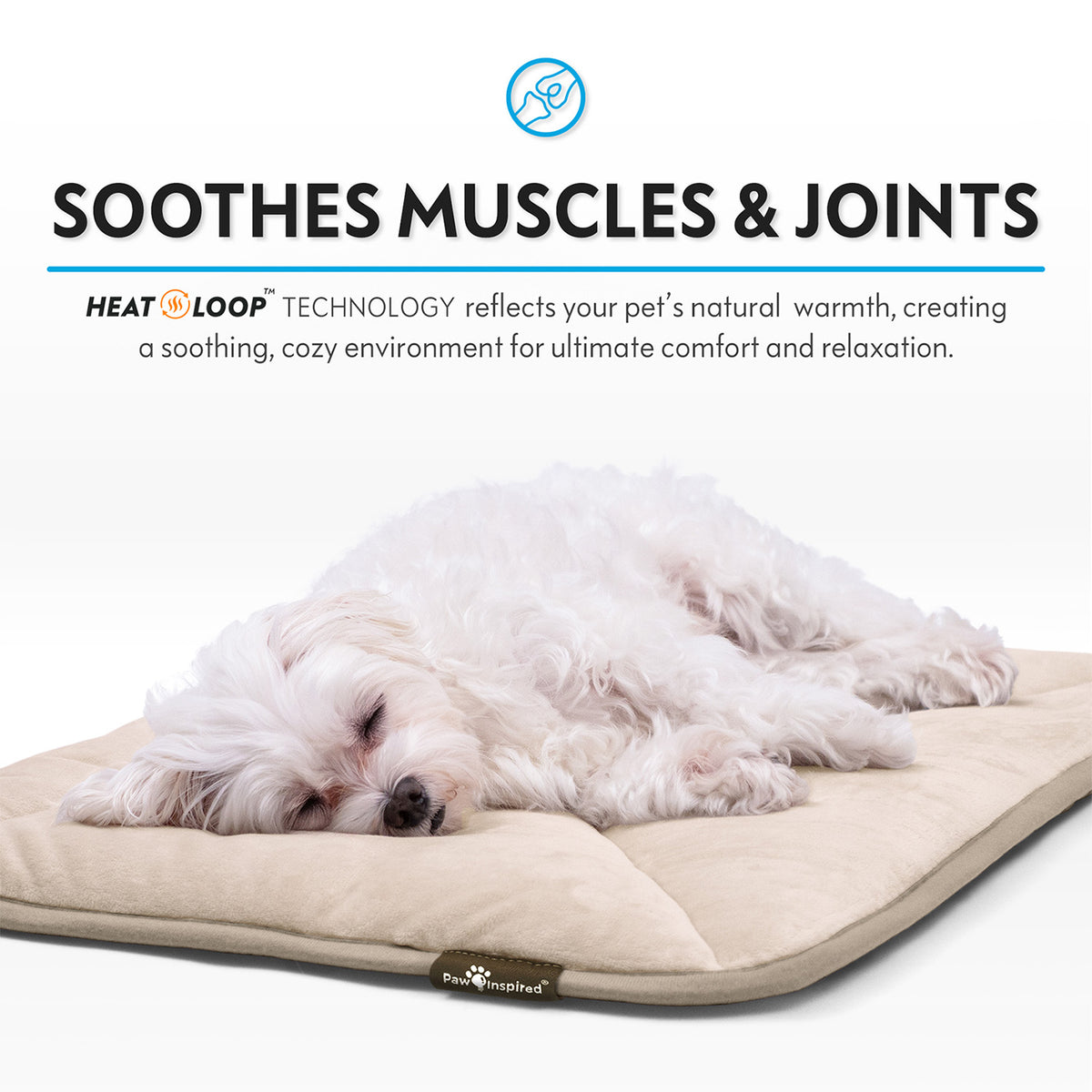 A white dog sleeping peacefully on a tan Paw Inspired self-heating pet mat with text highlighting muscle and joint relief.