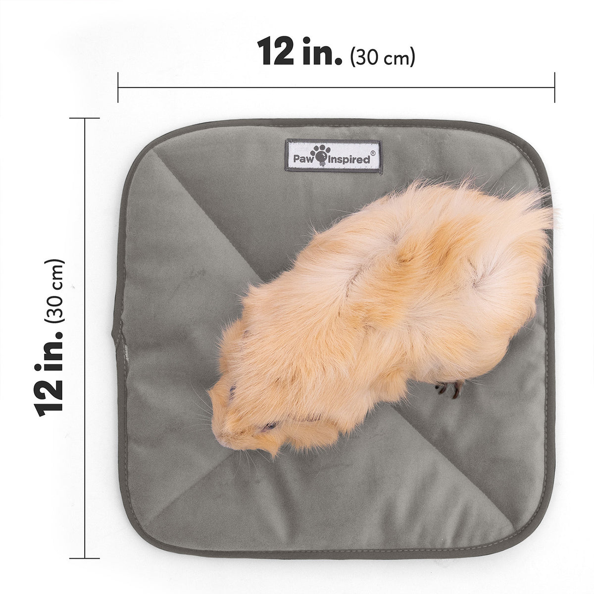 Top view of a guinea pig on a grey Paw Inspired self-heating pet mat with dimension markers showing 12 by 12 inches (30 cm by 30 cm).