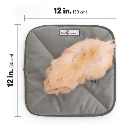Top view of a guinea pig on a grey Paw Inspired self-heating pet mat with dimension markers showing 12 by 12 inches (30 cm by 30 cm).